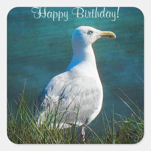 Happy Birthday Seagull Square Stickers (Voorkant)