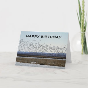 Happy Birthday Snow Geese op Squaw Creek Refuge Kaart