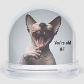 Happy Birthday Snow Globe (Arrière)