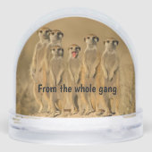 Happy Birthday Snow Globe (Arrière)