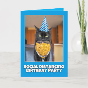 Happy Birthday Social Distancing Cat Humor Feestdagen Kaart