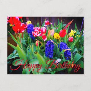 Happy Birthday Spring Flowers #3 Briefkaart