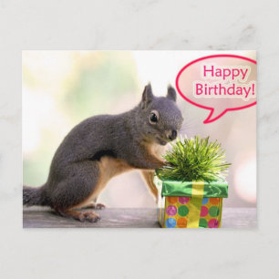 Happy Birthday Squirrel Briefkaart