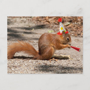 Happy Birthday Squirrel Briefkaart
