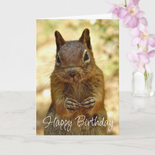 Happy Birthday Squirrel Looking for Cake Kaart (Orchidee)