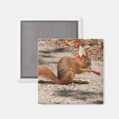 Happy Birthday Squirrel Magneet (Voorkant / Achterkant)