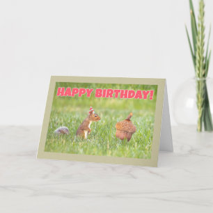 Happy Birthday Squirrel met Big Acorn Humor Feestdagen Kaart