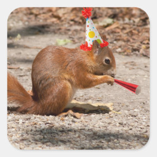 Happy Birthday Squirrel Vierkante Sticker