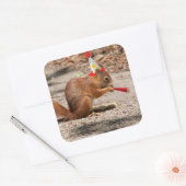 Happy Birthday Squirrel Vierkante Sticker (Envelop)
