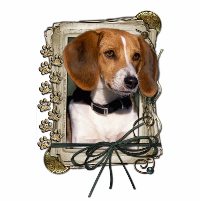 Happy Birthday - Stone Paws - Beagle Staand Fotobeeldje (Voorkant)