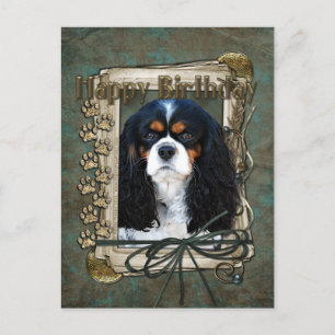 Happy Birthday - Stone Paws - Cavalier Briefkaart