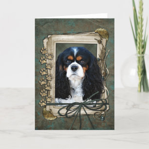 Happy Birthday - Stone Paws - Cavalier Kaart