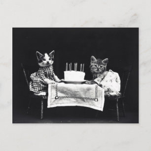 Happy Birthday to Meow   Katten met Cake Briefkaart