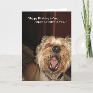 "Happy Birthday to You" - Singing Dog Kaart