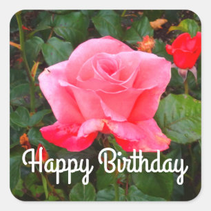 Happy Birthday Touch of Class Roos #1 Stickers