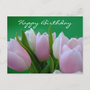 Happy Birthday - Tulips Briefkaart
