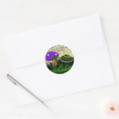 Happy Birthday Turtle Sticker (Envelop)