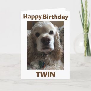 HAPPY BIRTHDAY TWIN ZEGT DIT CUTE COCKER SPANIEL KAART