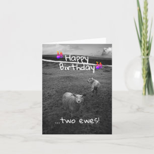 Happy Birthday Two Ewes Kaart
