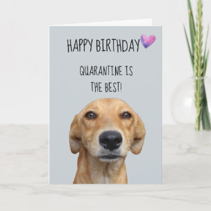 Happy Birthday uit de Dog Quarantine Covid-19 Kaart