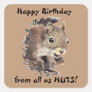 Happy Birthday uit ons NUTS Cute Squirrel Fun Vierkante Sticker
