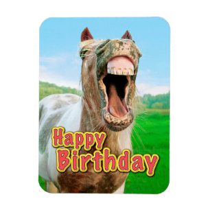 Happy Birthday van het gelukkige paard Magneet