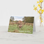 Happy Birthday - Verblijf in het Bos Kaart (Gele Bloem)