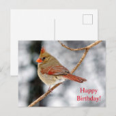 Happy Birthday Vrouw Noordelijk Kardinaal Briefkaa Briefkaart (Voorkant / Achterkant)