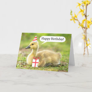 Happy Birthday Warm en Fuzzy Gosling Humor Kaart