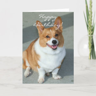 Happy Birthday Welsh Corgi Wenskaart Kaart