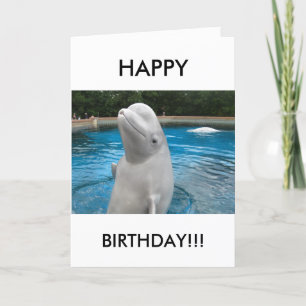 HAPPY BIRTHDAY-Wenskaart met Beluga-walvis Kaart