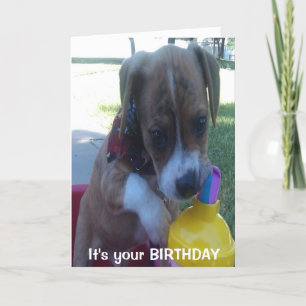 Happy Birthday wenskaart puppy drink Kaart