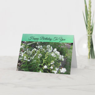 Happy Birthday  White Field of Flowers Kaart
