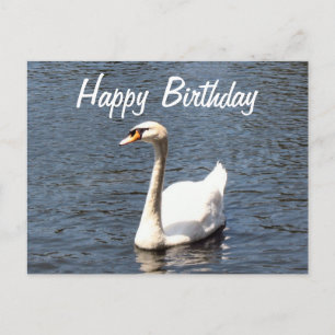 Happy Birthday white swan Briefkaart