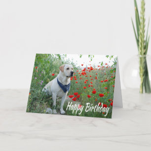 Happy Birthday Yellow Labrador Lab Puppy Dog Card Kaart