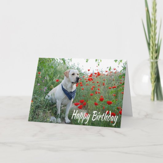 Happy Birthday Yellow Labrador Lab Puppy Dog Card Kaart (Voorkant)