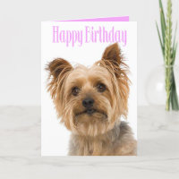 Happy Birthday Yorkshire Terrier Puppy Dog Roze