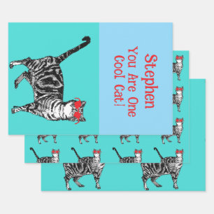 Happy Birthday You Cool Tabby Cat Mannen man Inpakpapier Vel