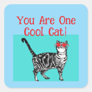 Happy Birthday You Cool Tabby Cat Mannen man Vierkante Sticker