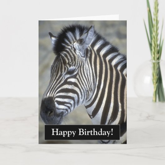 Happy Birthday Zebra Kaart (Voorkant)