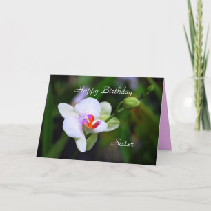 Happy Birthday Zister Phalaenopsis Orchid Card Kaart