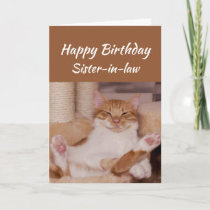 Happy Birthday Zuster-in-law Celebrate Funny Cat Kaart