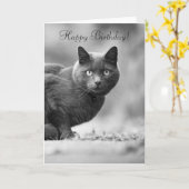 Happy Birthday zwarte kat Kaart (Gele Bloem)