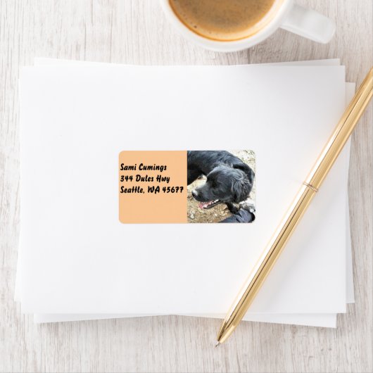 Happy Black Cocker Spaniel Etiket (Insitu)