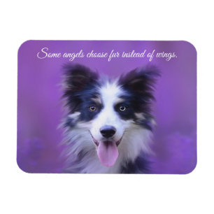 Happy Border Collie Dog, Angel met Fur Magnet Magneet