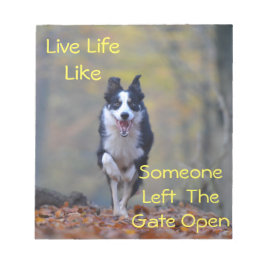Happy Border Collie dog die loopt en speelt Notitieblok