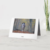 Happy Border Collie hond verjaardagskaart Kaart (Achterkant)
