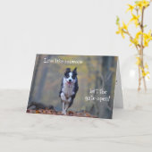 Happy Border Collie hond verjaardagskaart Kaart (Gele Bloem)