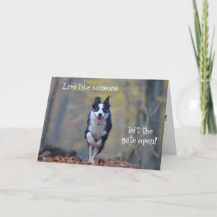 Happy Border Collie hond verjaardagskaart Kaart