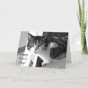 Happy Boss's Day Cat wenskaart Kaart